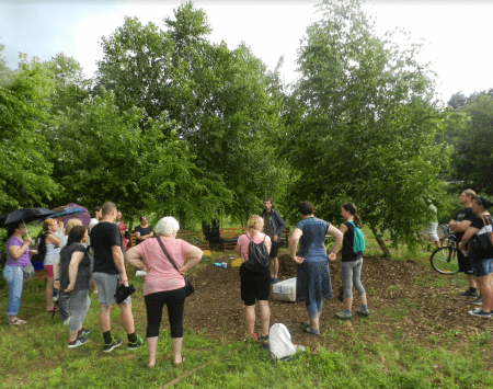 US4F Journal 4: How cities should organise their food production and distribution systems