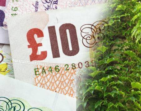 generic image with money and vegetation