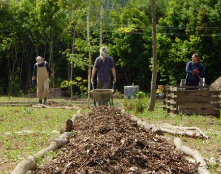 US4F Journal 3: Community gardens are open!
