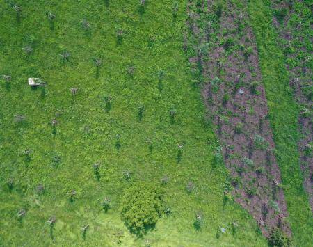 Radvanice target area from drone view