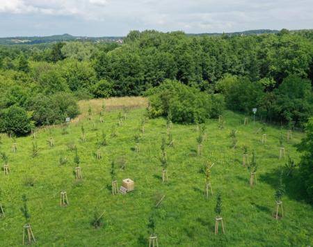 Radvanice target area from drone view