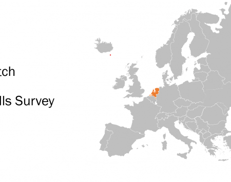 Dutch Skills Survey