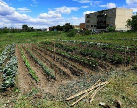 MAC Pozzuoli Open Badge tool