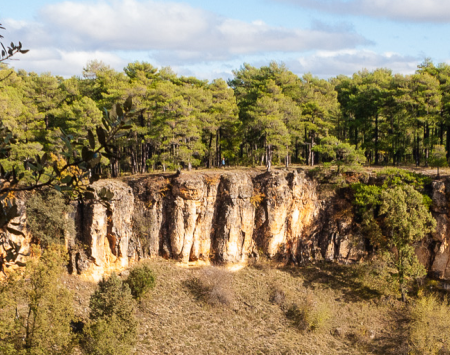 Forests of Cuenca