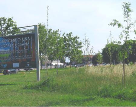 air-break new forest cover photo