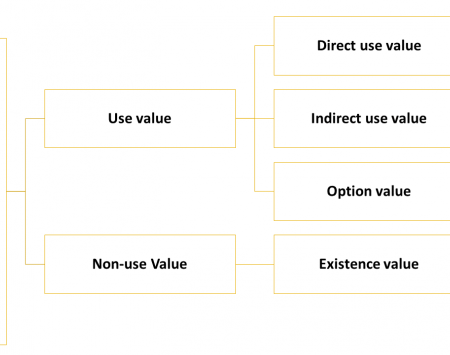 Total Economic Value – reproduced by IUCN, TNC, World Bank (2004)