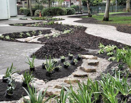 SuDS at Moorland Junior School