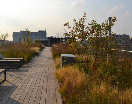 A smart blue-green roof at an office block in the Amsterdam Zuidas area (photo credits: De Dakdokters)