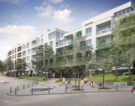 CALICO fiture representation