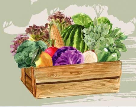 Pozzuoli journal: what impacts on the local community?