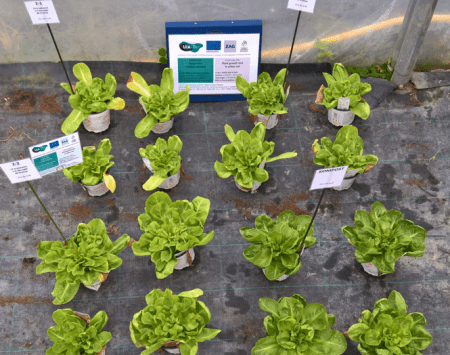 UrbanSoil4Food Zoom-in 1: Soil for our future!